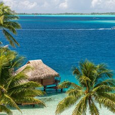 Maitai Bora