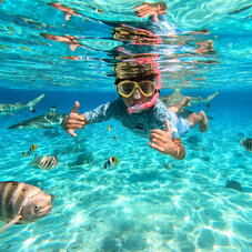 Snorkelling in Bora Bora