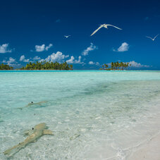 rangiroa