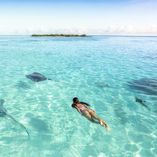 Lagoon Swim