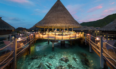 Hilton Moorea Restaurant night Hilton Moorea Restaurant night