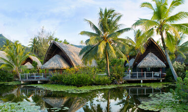 Maitai Huahine