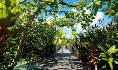 Entire Travel Group | Credit: Maitai Lapita Village Huahine