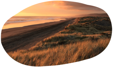 atn-illust-shape-_0006_new-zealand-north-island-beach-pvysohlid.png Air Tahiti Nui New Zealand North Island beach PVysohlid