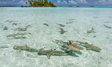 Rangiroa Rangiroa