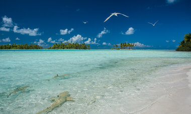 rangiroa rangiroa
