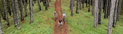 Vélo en montagne Vue aérienne sur des personnes faisant du vélo en montagne