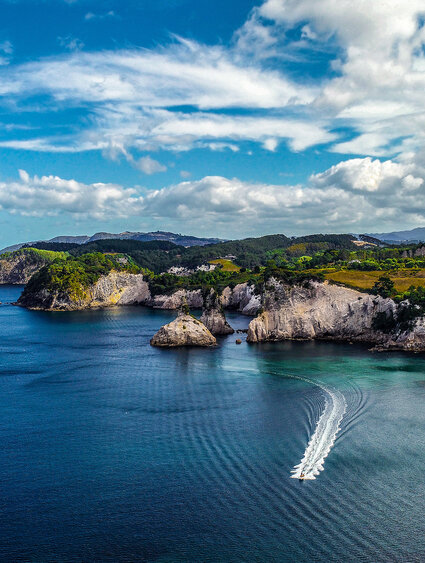 Air Tahiti Nui New Zealand North island Coromandel Ferntech