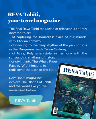 Bandeau REVA 93 - EN - desktop